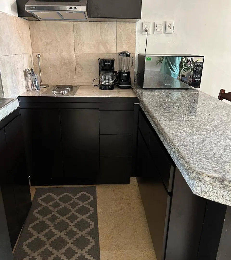アパート マサトラン2 Bdrm - Sleeps 8 -Ocean Front -Ocean Viewアパートメント